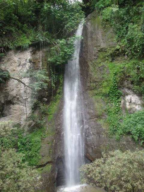Santa Cruz: Hidden Waterfalls & Secret Paradise Hike - Ecosystems and Landscapes