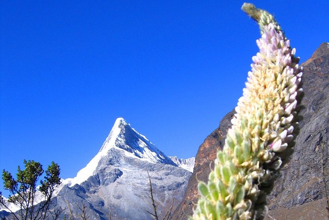 Santa Cruz Llanganuco Trek Cordillera Blanca - Health Considerations