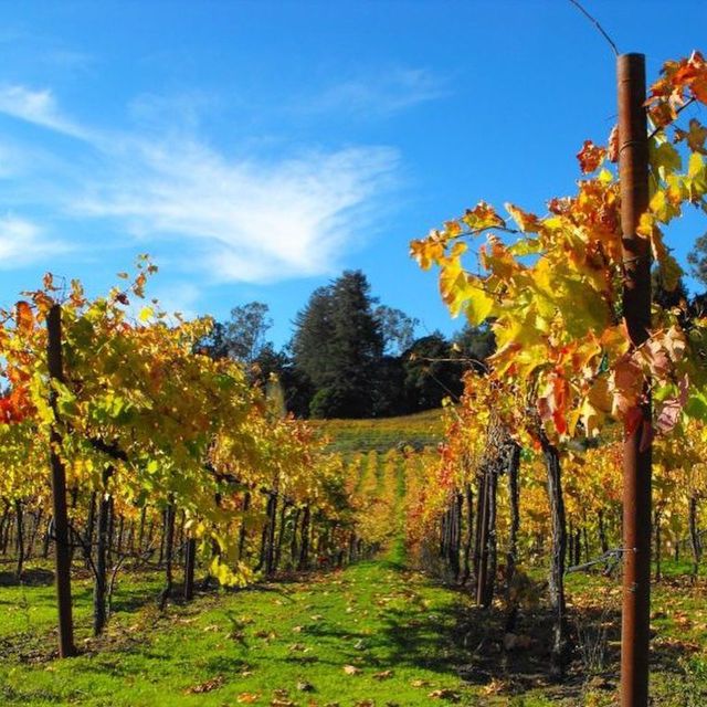 Santa Cruz: Private Custom Wine Tour With Hotel Pickup - Sample Itinerary