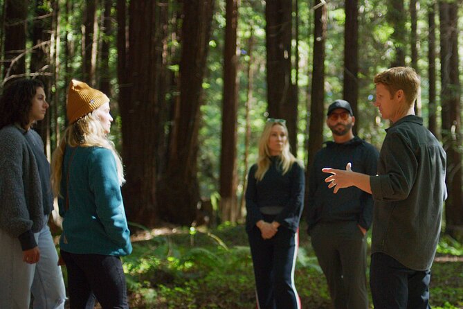 Santa Cruz Redwoods Forest Therapy - Key Points