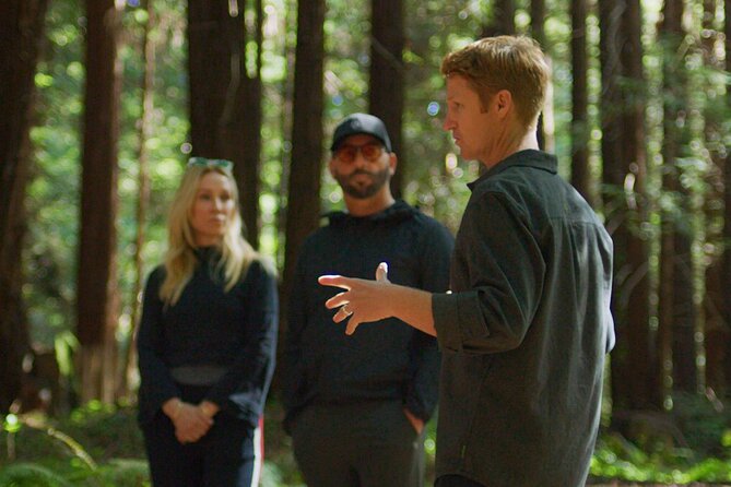 Santa Cruz Redwoods Forest Therapy - Exploring Nisene Marks State Park