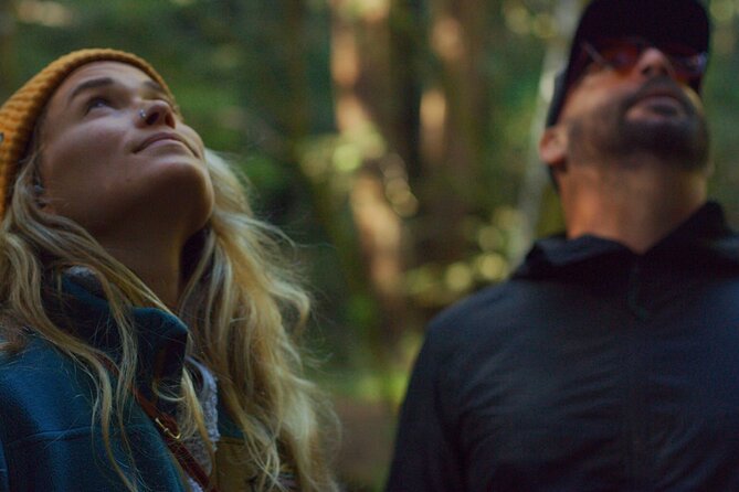 Santa Cruz Redwoods Forest Therapy - Meeting Point and Tour Duration