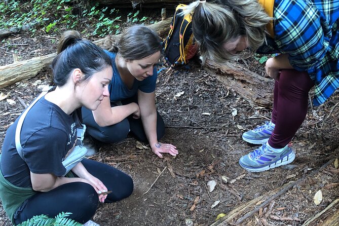 Santa Cruz Redwoods Forest Therapy - Accessibility and Participation