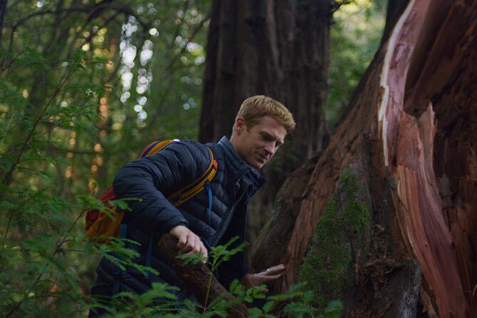 Santa Cruz Redwoods Forest Therapy - Customer Ratings and Reviews