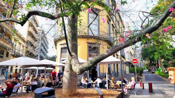 Santa Cruz: Self-guided Old Town Walk Sights and Specials - Frequently Asked Questions