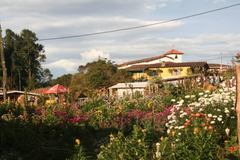 Santa Elena and Guatape Full-Day Sightseeing Tour - Important Considerations