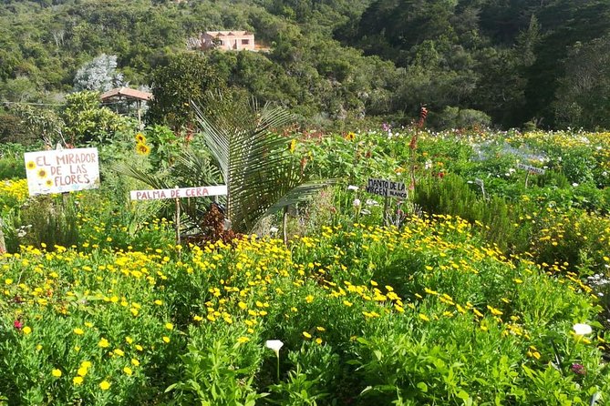 Santa Elena Trip: Silleteros and Flower Farm Cultural Tour - Flower Festival and Local Traditions