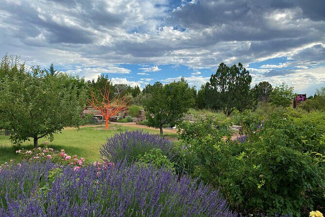 Santa Fe Botanical Garden General Admission Ticket - An In-Depth Look at the Santa Fe Botanical Garden