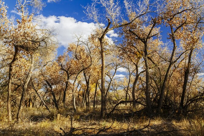 Santa Fe E-Bike Adventure Half-Day Tour - Inclusions and Amenities