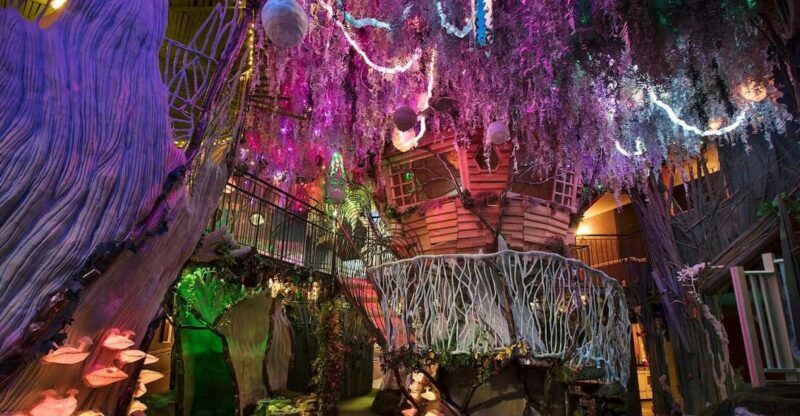 Santa Fe: Meow Wolf The House of Eternal Return Ticket - FAQ