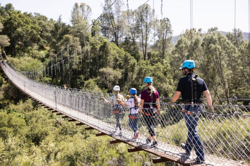 Santa Margarita: Zipline Adventure With 6 Different Ziplines - Guided Tour of Santa Margarita Winery