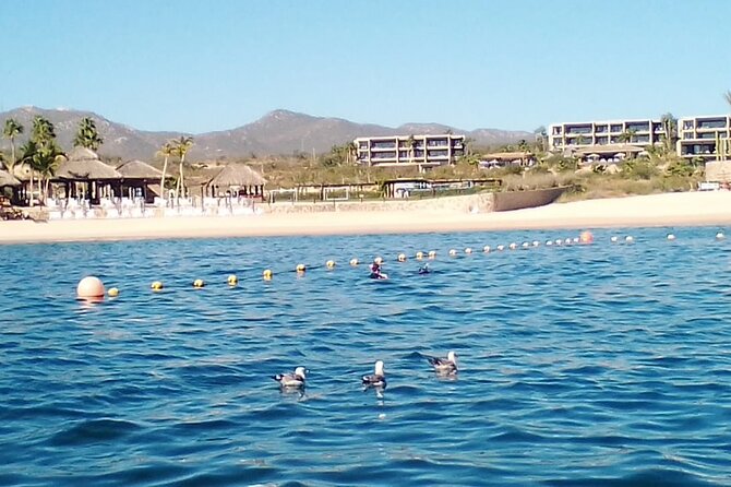 Santa Maria and Chileno Bay Snorkel Adventure Los Cabos - Accessibility and Recommendations