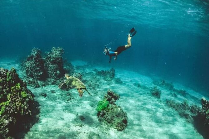 Santa Maria and Chileno Bay Snorkel Adventure Los Cabos - Discovering Chileno Bay
