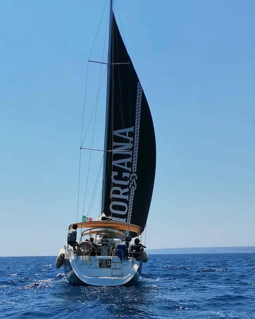 Santa Maria Di Leuca: Sailing Trip With Lunch - Coastal Exploration