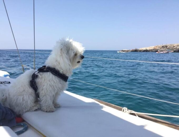 Santa Maria Di Leuca: Sailing Trip With Lunch - Frequently Asked Questions