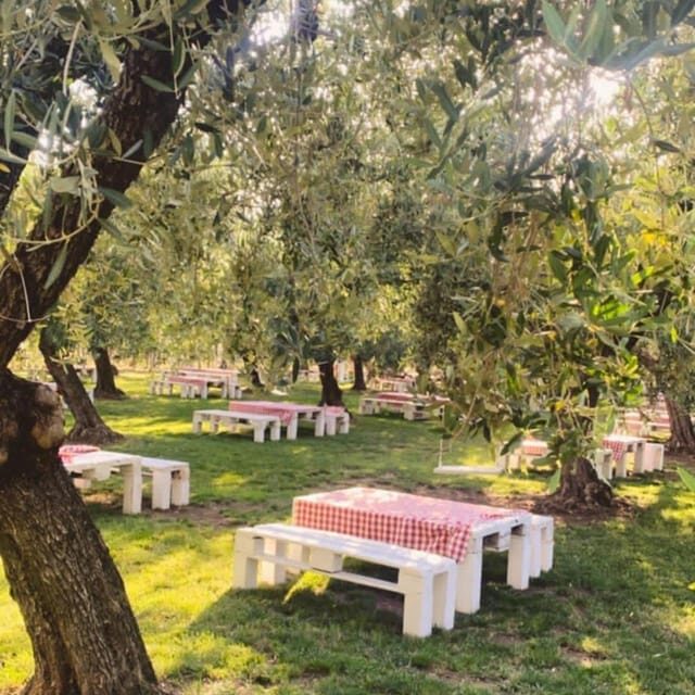 Santa Maria Imbaro: The Vinarte Picnic Under the Moonlight - Booking Your Experience
