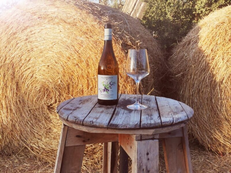 Santa Maria Imbaro: The Vinarte Wine Tour - Inclusions of the Tour