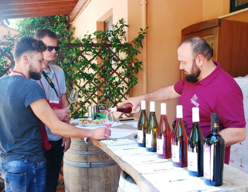 Santa Maria Imbaro: The Vinarte Wine Tour - Customer Feedback and Ratings