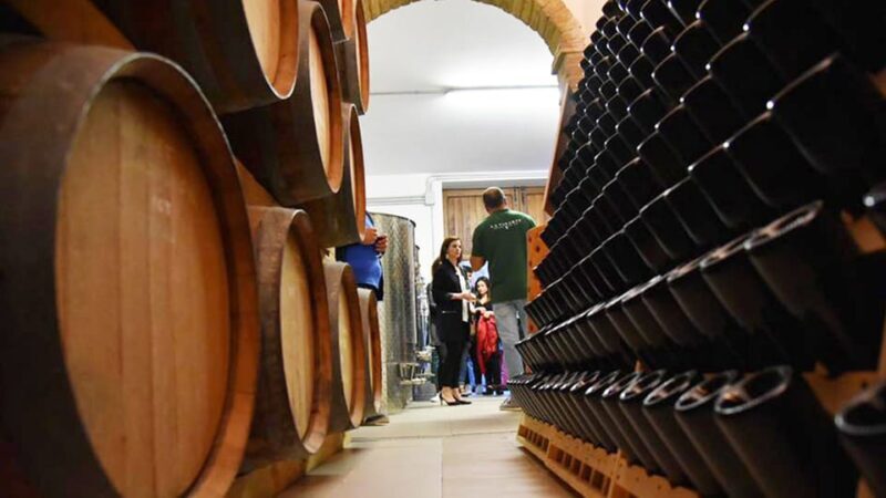Santa Maria Imbaro: The Vinarte Wine Tour - Booking Information