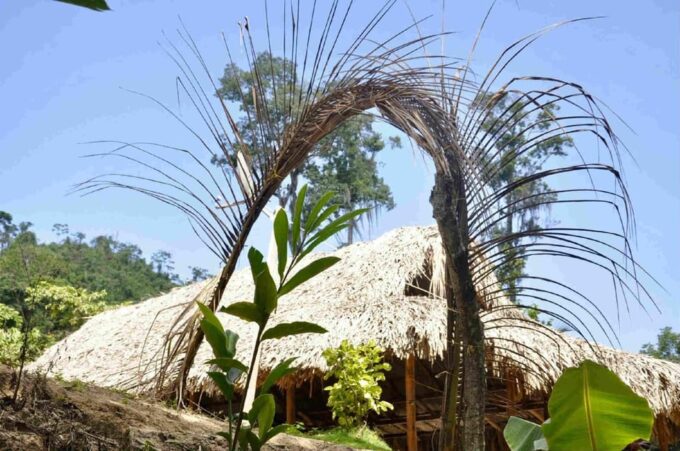 Santa Marta Airport to Tayrona Park (Cañaveral) - Arrival and Departure