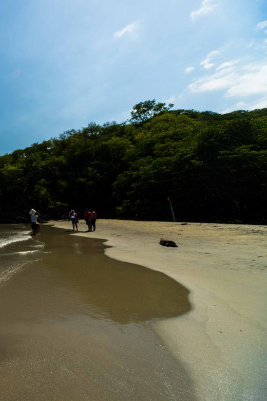 Santa Marta and Tayrona Park Day Trip - Itinerary and Activities