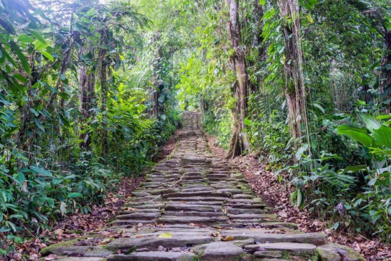 Santa Marta: Multi-Day Trek to The Lost City - Trek Details and Itinerary