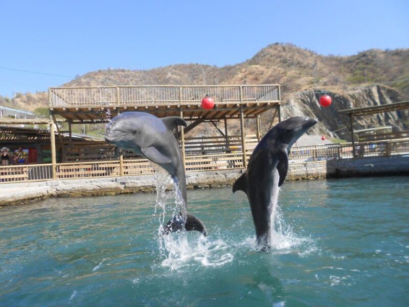 Santa Marta: Museum of the Sea and Playa Blanca Beach Tour - Important Information