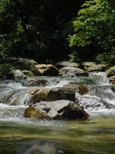 Santa Marta: San Isidro De La Sierra Waterfall Day Tour - Experience Highlights