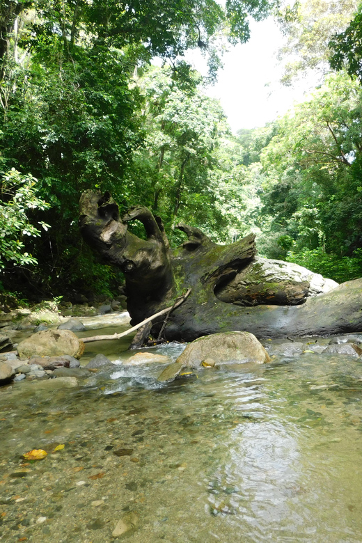 Santa Marta: San Isidro De La Sierra Waterfall Day Tour - Important Information: Not Suitable For