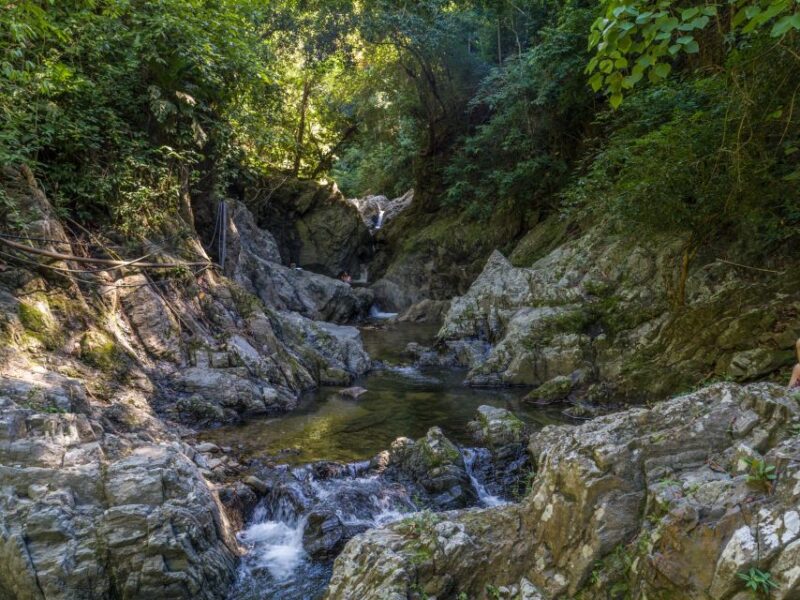 Santa Marta: Tayrona Park Private Hike to Cabo San Juan - Customer Reviews