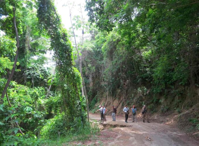 Santa Marta to Minca (Or Vice Versa) Private Transfer - Customer Support