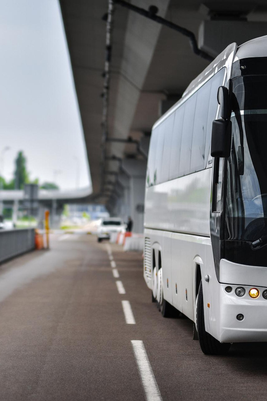 Santa Marta to or From Palomino Private Transfer - Driver and Vehicle