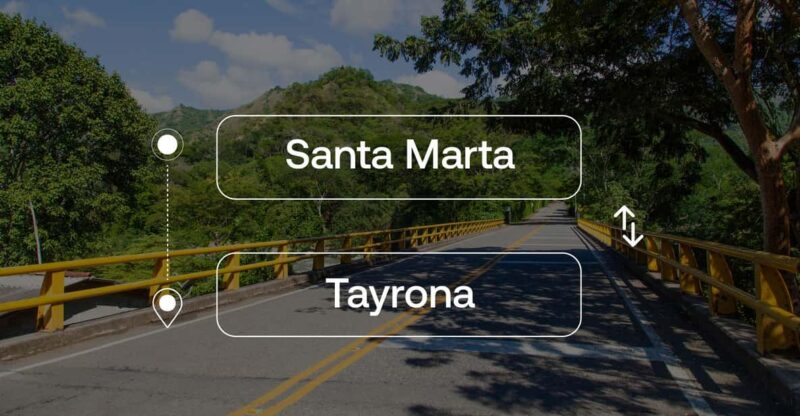 Santa Marta to or From Tayrona Park Private Transfer - Driver and Service Quality