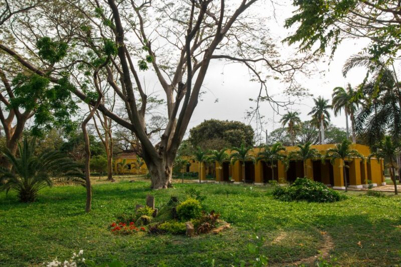 Santa Marta: Walking Tour - Tour Highlights