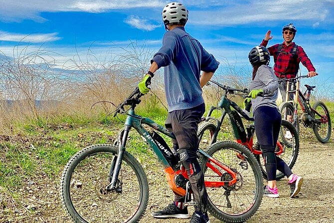 Santa Monica Mulholland to Eagle Rock Electric MTB Tour (BEGINNER) - Scenic Route