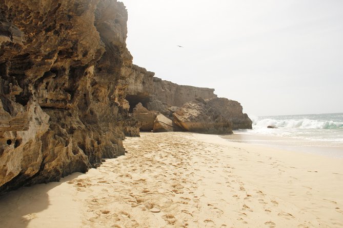 Santa Monica NO Stress Tour - Santa Monica Beach Experience