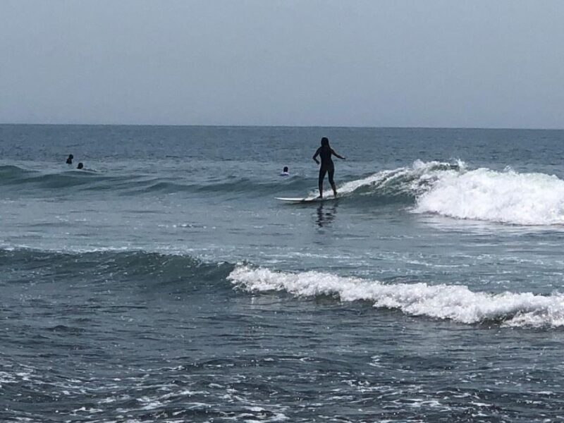 Santa Monica: Surfing Day Trip With Lunch - Inclusions and Options