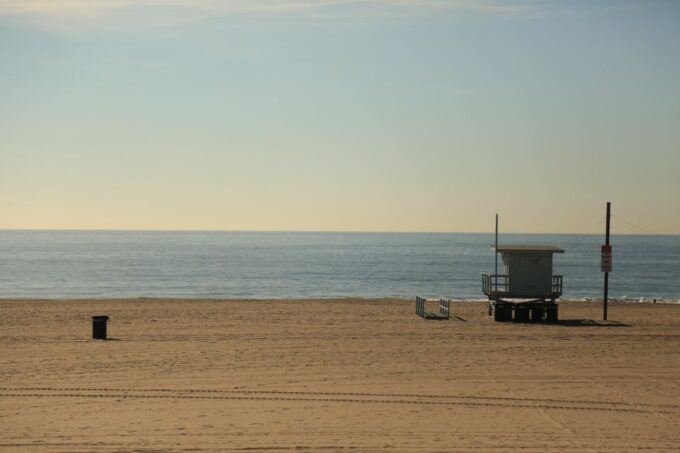 Santa Monica: Surfing Day Trip With Lunch - Picnic Lunch