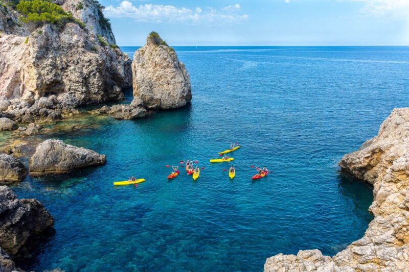 Santa Ponsa: 3-Hour Marine Reserve Kayak Tour - Included and Not Included
