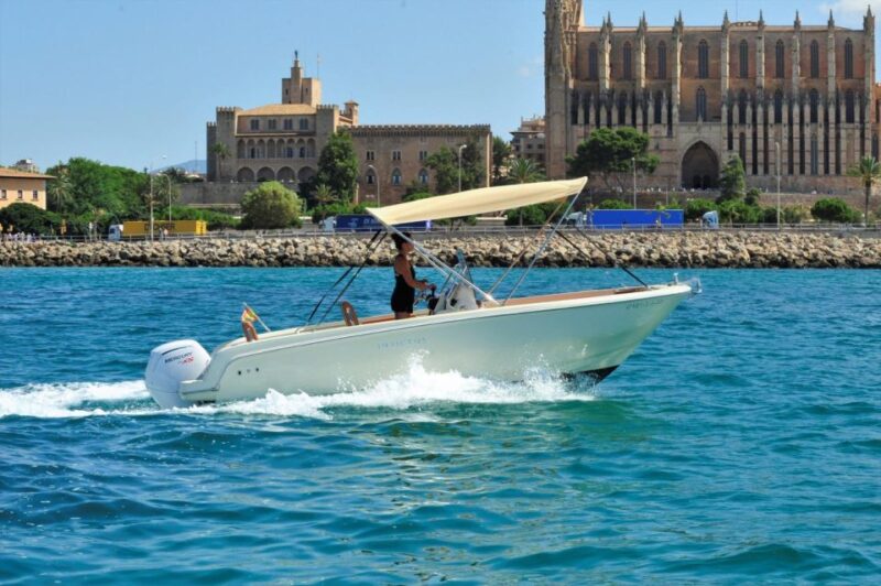Santa Ponsa: MINERVA, License Boat Rental - Key Points