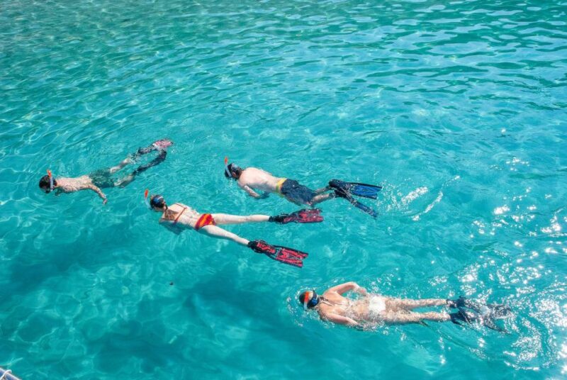 Santa Ponsa: Snorkeling Tour in a Marine Reserve - Snorkeling Experience