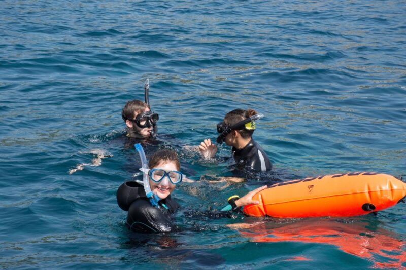 Santa Ponsa: Snorkeling Tour in a Marine Reserve - Return Journey