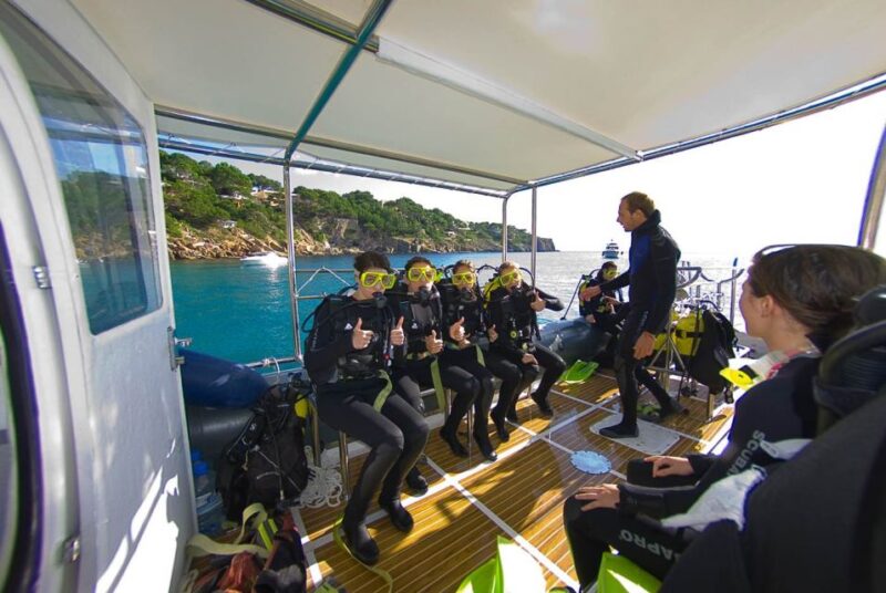 Santa Ponsa: Try Scuba Diving in a Marine Reserve - Safety Precautions