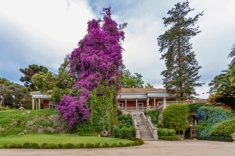 Santa Rita Classic Vineyard Tour - Varietal Garden