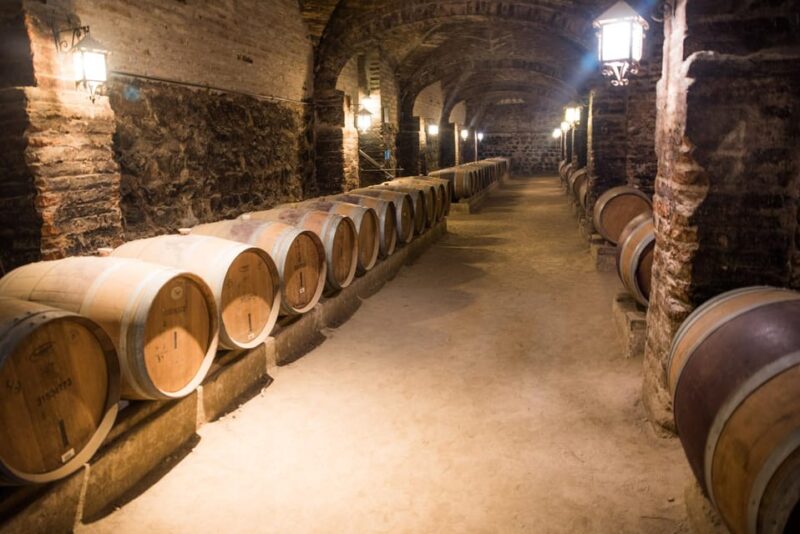 Santa Rita: Tour + Premium Wine Tasting + Private Transport - Key Points