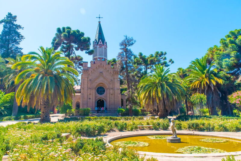 Santa Rita: Tour + Premium Wine Tasting + Private Transport - Premium Wine Tasting