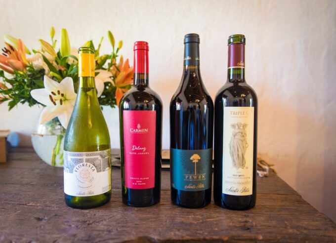 Santa Rita: Tour + Premium Wine Tasting + Private Transport - Participant Information