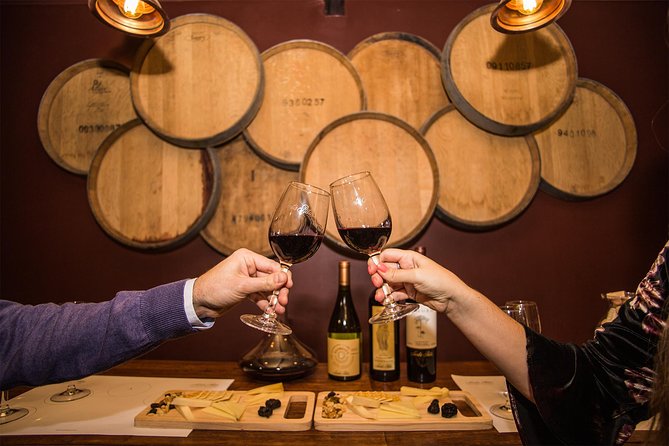 Santa Rita Vineyard Tour - Tour Reviews