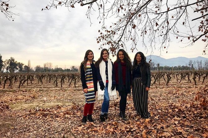 Santa Rita Vineyard Tour - Vineyard Highlights