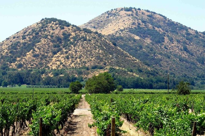 Santa Rita Vineyard Tour - Inclusions